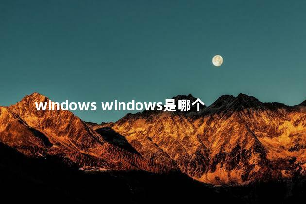 windows windows是哪个公司开发的